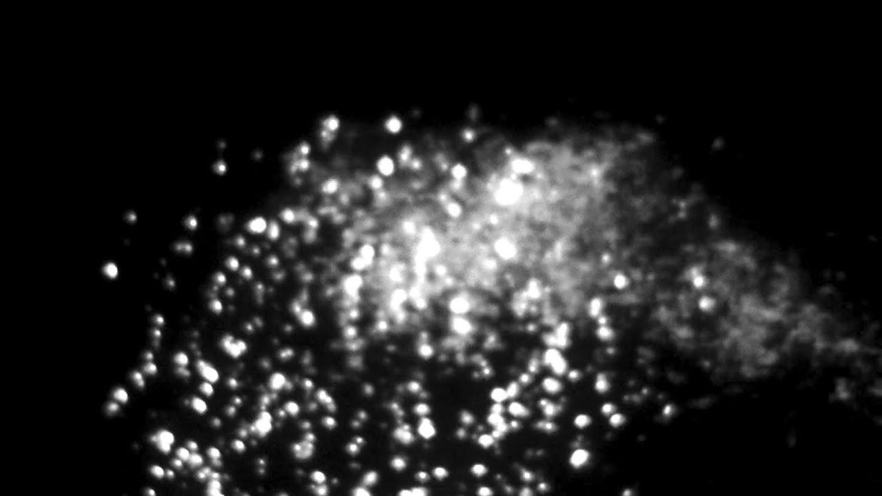 Waiting to Disappear Trailer