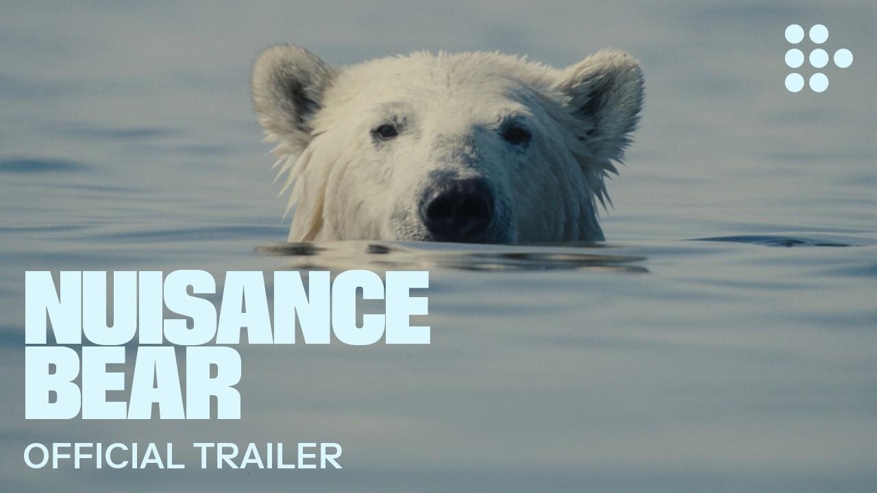 Nuisance Bear Trailer