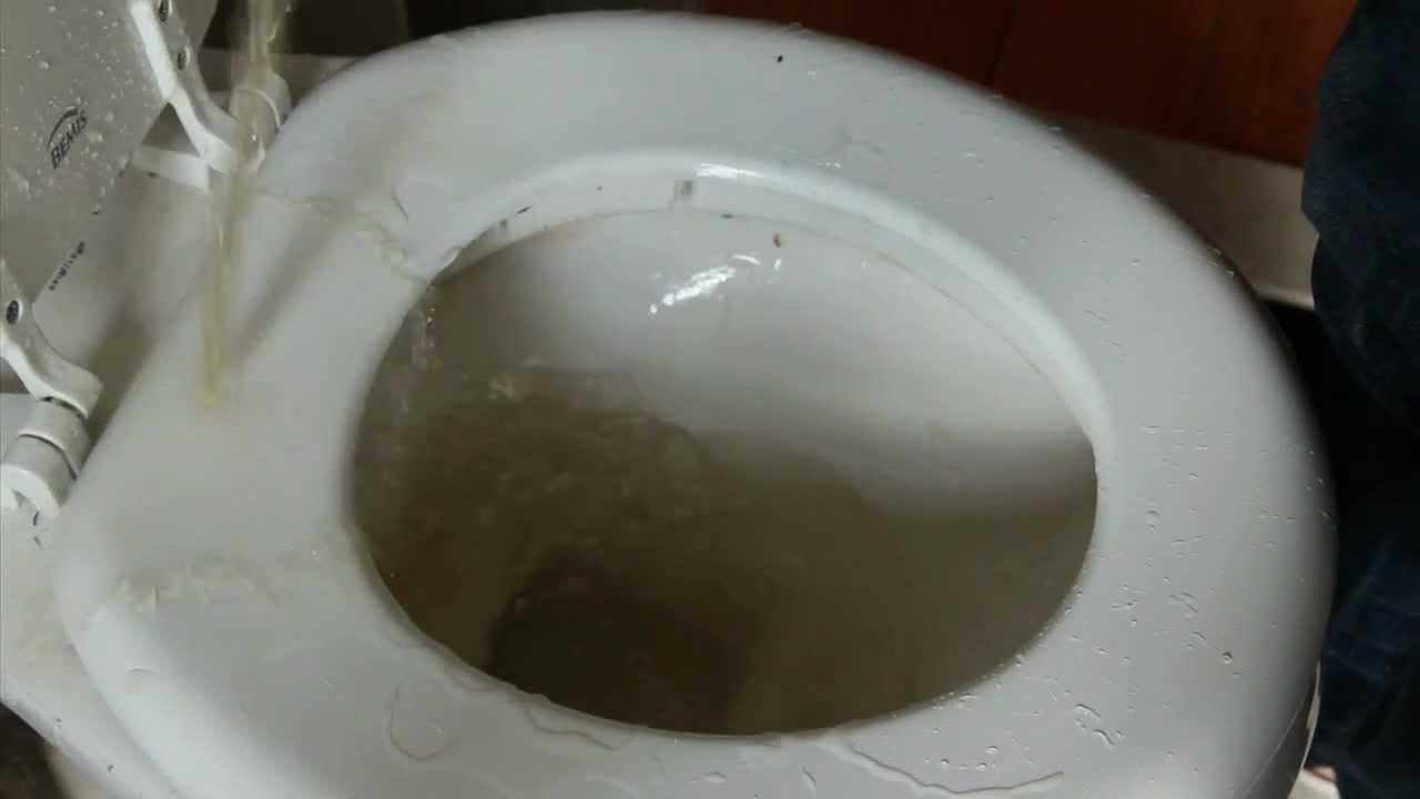 A Straight Guy Pissing All Over A Toilet Seat Trailer