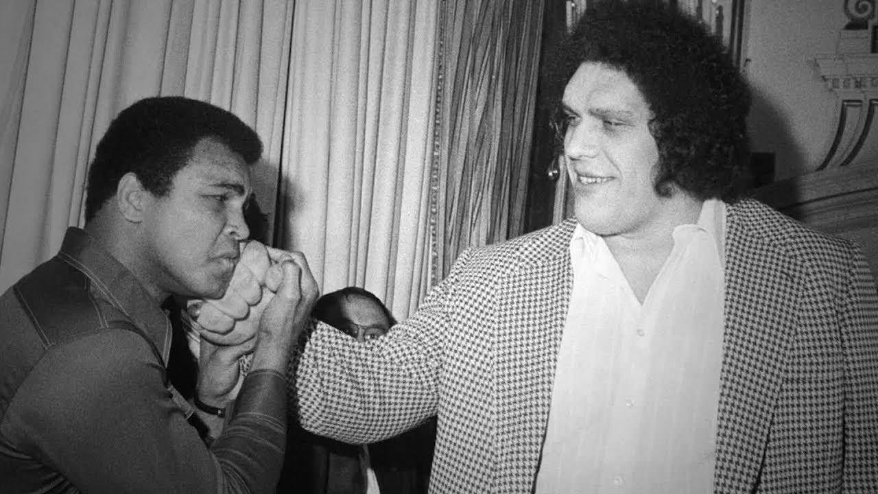 Andre the Giant Trailer