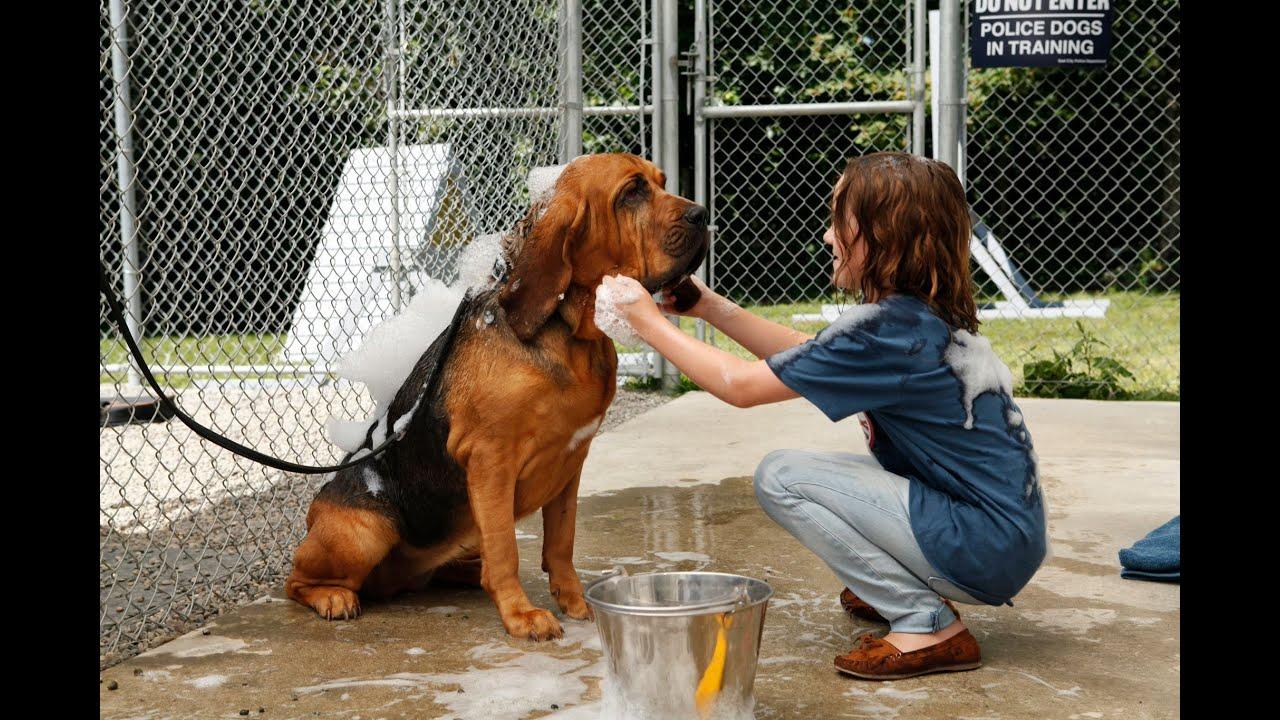 A Girl's Best Friend Trailer