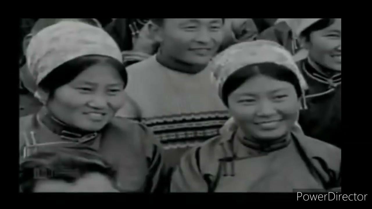 Son-in-law Trailer