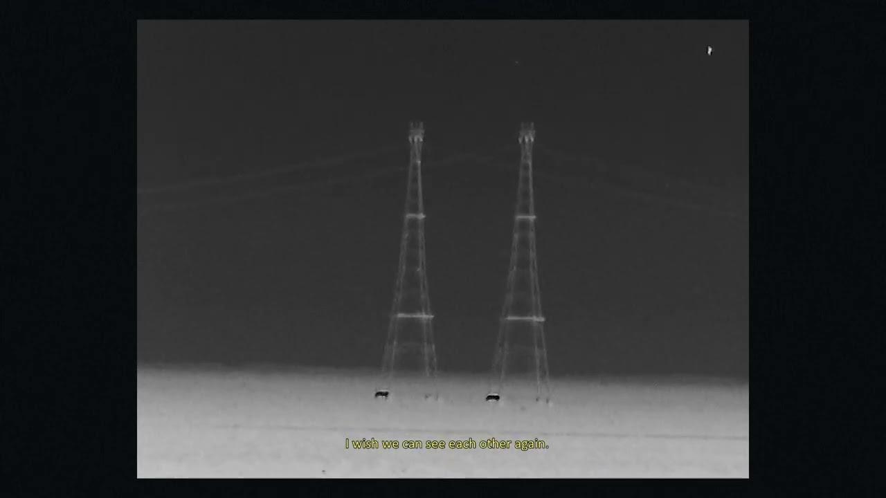 Aphorisms of the Lake Trailer