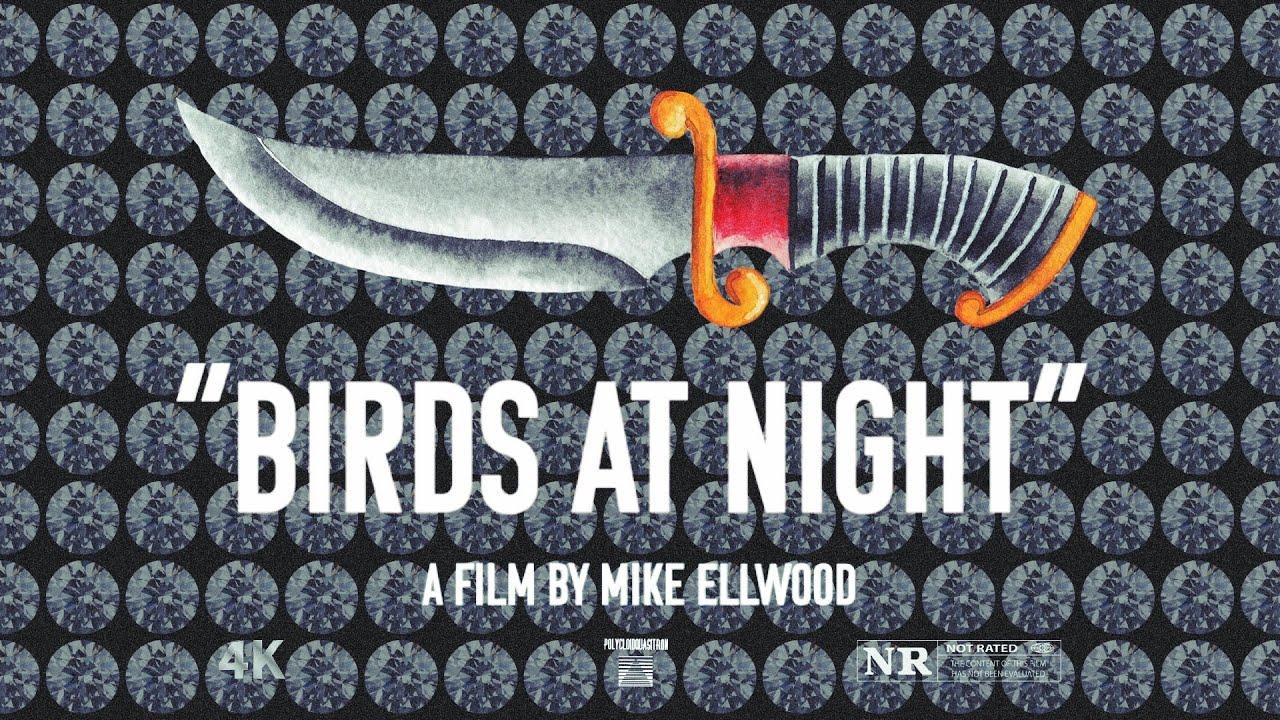 Birds at Night Trailer