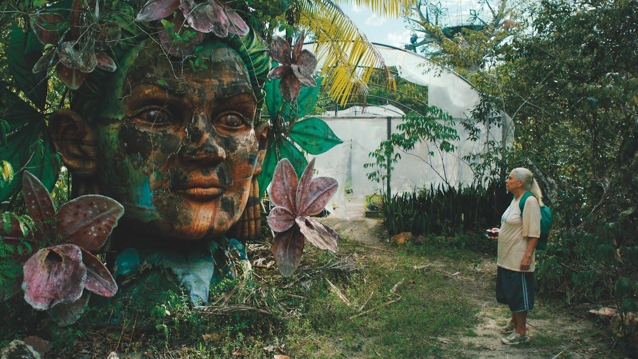 The Blue Trail Trailer