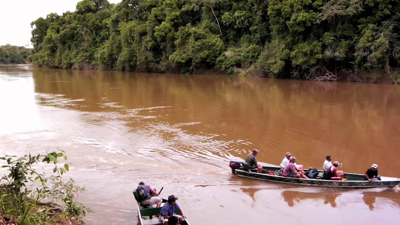 Jungle Fish Trailer