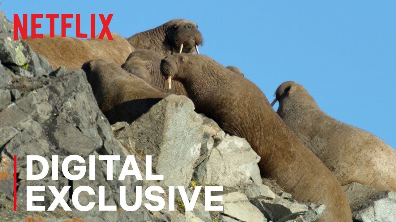 Our Planet: Behind the Scenes Trailer