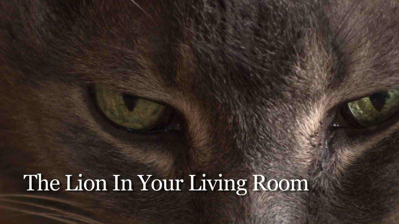 The Lion In Your Living Room Trailer