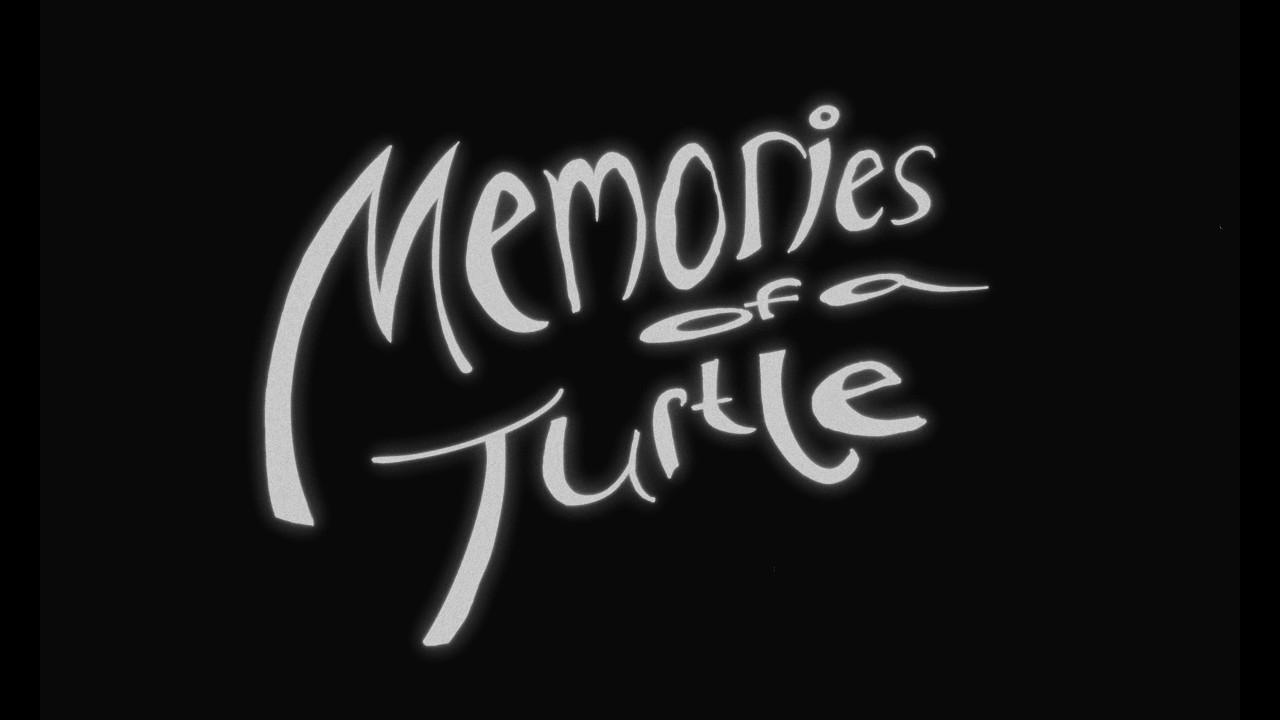 Memories of a Turtle Trailer