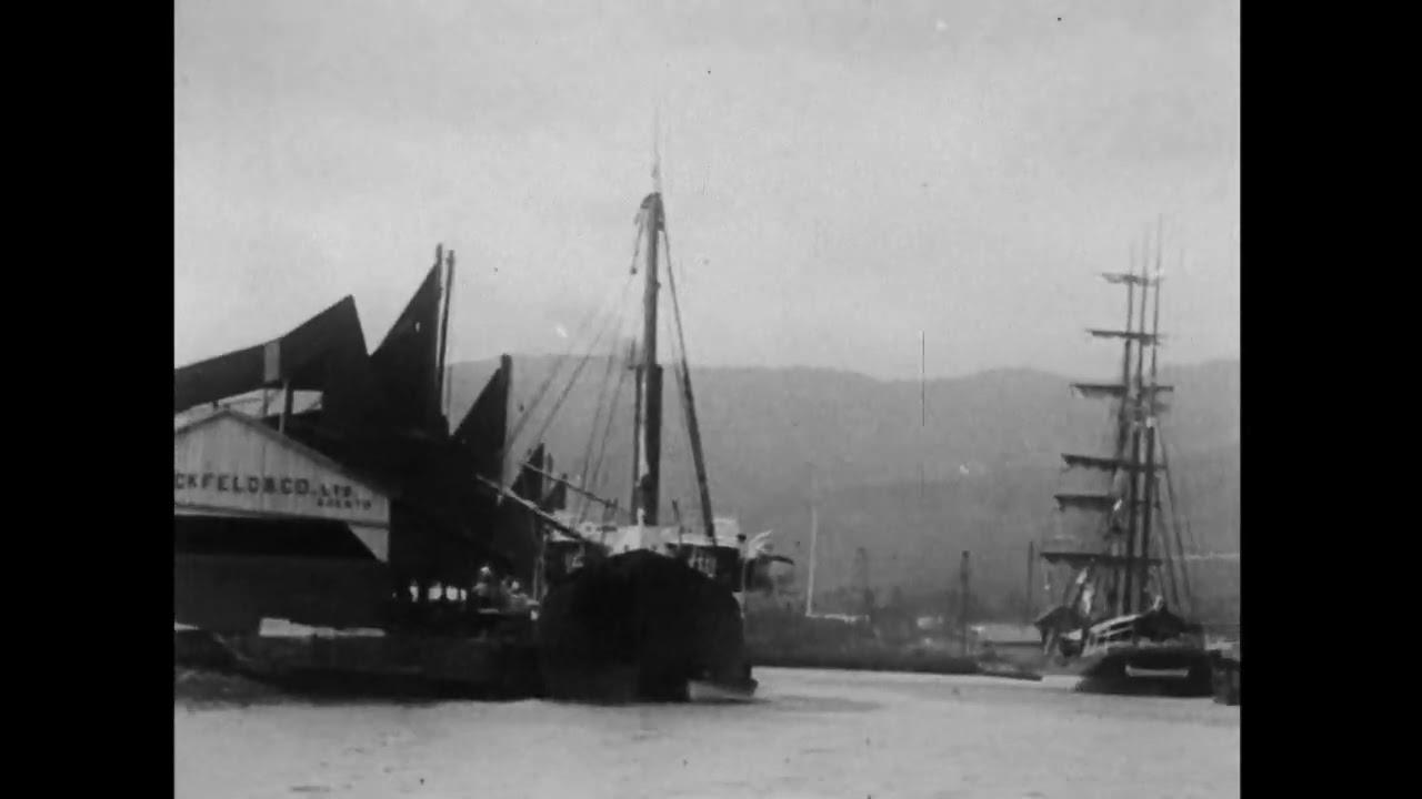 Panoramic View, Honolulu Harbor, Hawaiian Islands Trailer