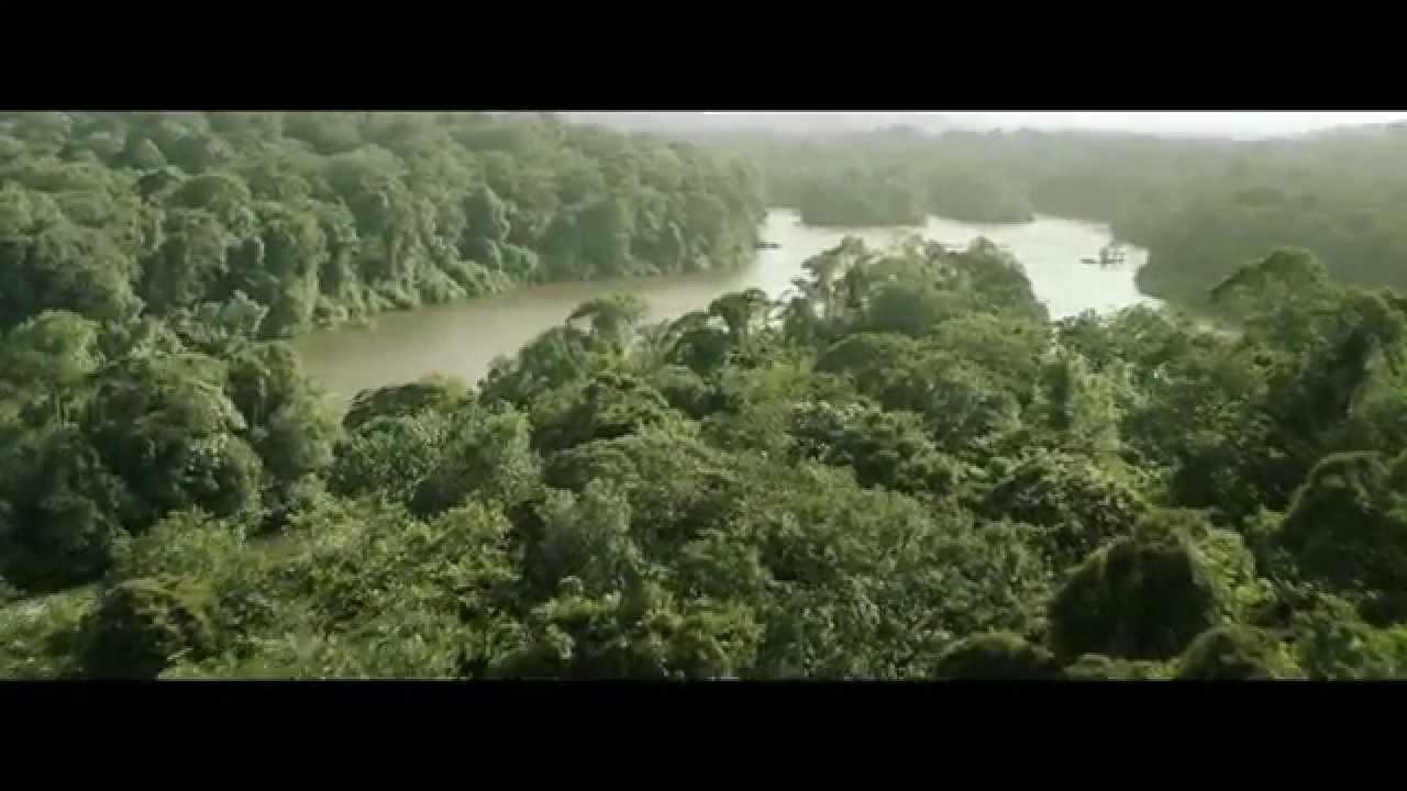 Pure Life Trailer