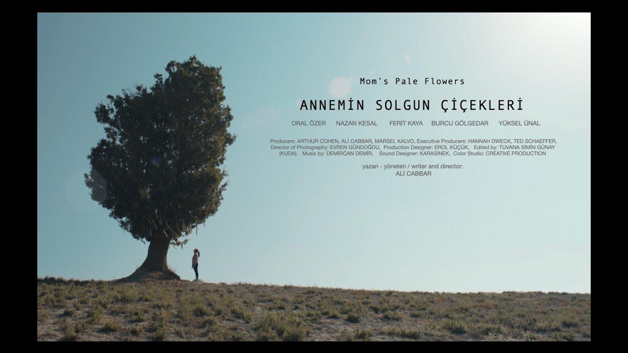 Mom's Pale Flowers Trailer