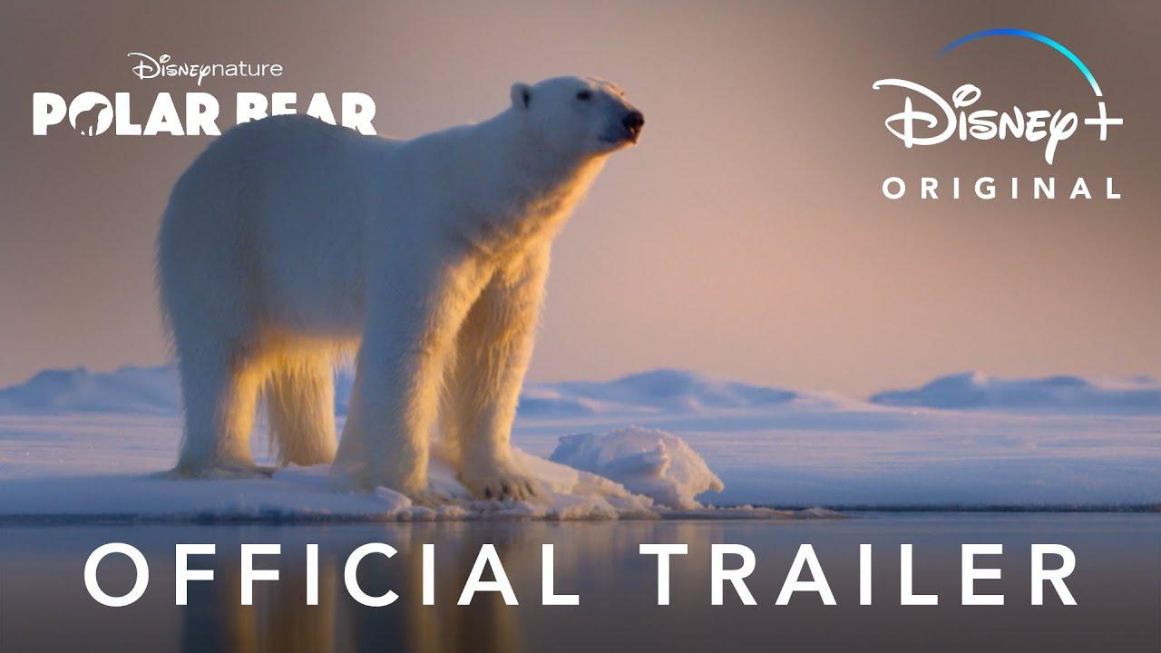 Polar Bear Trailer